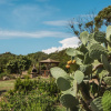 Отель Residence Sapa Di Cala, фото 25