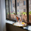 Отель NEMAN Maison Experience I Pantheon, фото 8