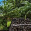 Отель Mauna Lani Terrace D201, фото 22