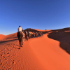 Отель Palmeras y Dunas, фото 10