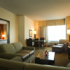 Отель Holiday Inn DFW South, an IHG Hotel, фото 5