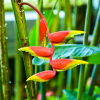 Отель Casa Paxanax, фото 13