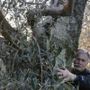 Отель Agriturismo Papa Nicoletta, фото 6
