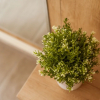 Отель Dany Rent A Home, фото 16