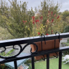 Отель Apart Hotel 25, фото 8