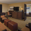 Отель The Park Vista - a DoubleTree by Hilton Hotel - Gatlinburg, фото 21