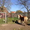Отель Holiday Home in Bergen op Zoom with Garden, фото 14