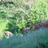 Отель Casa Rural La Majada de Peñacorada, фото 28