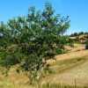 Отель Gîte Le Bessat, 4 pièces, 6 personnes - FR-1-496-24, фото 14