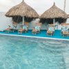 Отель Ocean Front Property - Villa 5 Aruba Stunning, фото 8