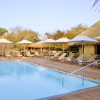 Отель Kapama River Lodge, фото 16