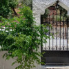 Отель Traditional Cretan Country House (9klm From Elafonissi), фото 17