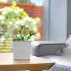 Отель KOZYGURU Waitara 2 Bed APT Train Station, фото 6
