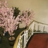 Отель Qinxin Holiday Hotel - Shangri-la, фото 9