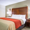 Отель Comfort Inn & Suites Clemson - University Area, фото 7