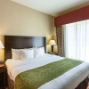 Отель Comfort Suites Medical Center near Six Flags, фото 5