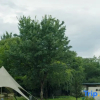 Отель Yi Cha Yi Shu Hostel, фото 13