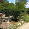 Отель Beaver Lake Heavenly Hideaway B&B, фото 14