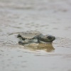 Отель Casa Balae, фото 11