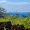Отель Hale Nani Loa - White Sands Beach Home by Casago, фото 21