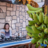 Отель Weizhou Island · Daogeng Township Residence Linhai B&B (Shell Beach), фото 16