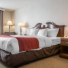 Отель Comfort Inn & Suites East Greenbush - Albany, фото 4