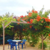 Отель B&B Rosa dei Venti, фото 6