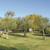 Отель Beautiful home in Skaloma Nafpaktos with 4 Bedrooms, WiFi and Outdoor swimming pool, фото 22