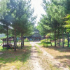 Отель Forest Of Morning Calm, фото 18