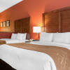 Отель Comfort Suites Louisville Airport, фото 7