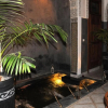 Отель Riad Layla, фото 15