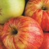 Отель La Quinta Inn & Suites Far Rockaway - JFK Airport, фото 10