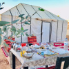 Отель Sahara Luxury Camps, фото 4
