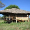 Отель Mbalageti Serengeti, фото 4
