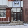 Гостиница Bird house hostel, фото 1