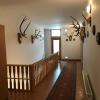 Отель Silvanus Panzió, фото 10