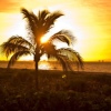 Отель Sanibel Arms West Condominiums, фото 6