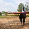 Отель Punggol Ranch Resort, фото 20