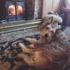 Отель The Mermaid Inn Ellington, фото 23
