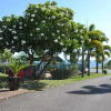 Отель Ocean View Motel Bowen, фото 13