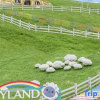 Отель Yunduo Rainbow·Suxi Pro-Pet Holiday Homestay (Anji Yunshang Grassland Alpine Tourism Resort), фото 10