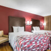 Отель Red Roof Inn Cincinnati Airport–Florence/ Erlanger, фото 3