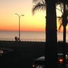 Отель The Beach Palms Carlsbad, фото 16