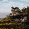 Отель Fischland Ferienhäuser, фото 23