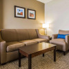 Отель Comfort Inn & Suites Waterloo - Cedar Falls, фото 12