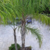 Отель Borgo antico - FronteMare, фото 7