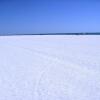 Отель The Anna Maria Island Beach Sands 101, фото 16