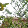 Отель Denizimapartbungalov, фото 8