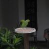 Отель Ovinka home stay, фото 19