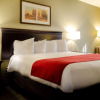 Отель Country Inn & Suites by Radisson, Tuscaloosa, AL, фото 2